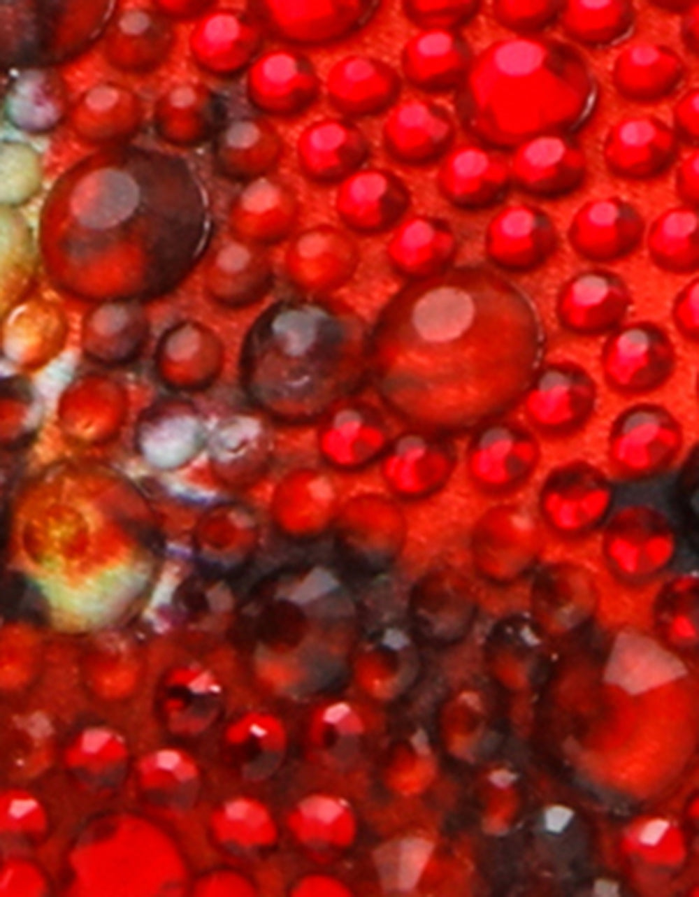 CLARK HEELS BLACK FLOWER MULTI - Image 9